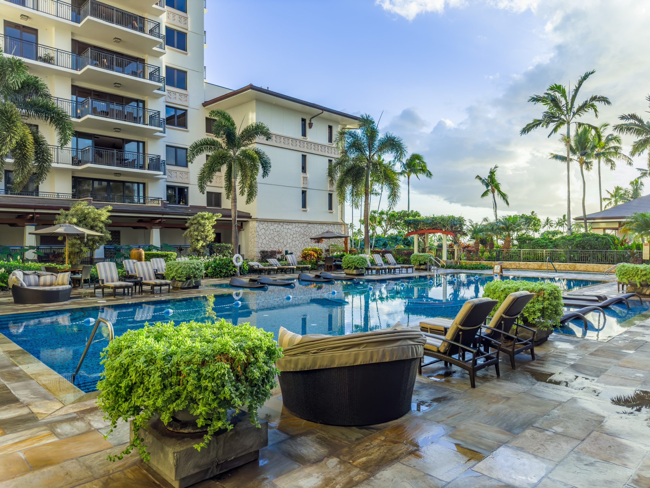 Resort lap pool
