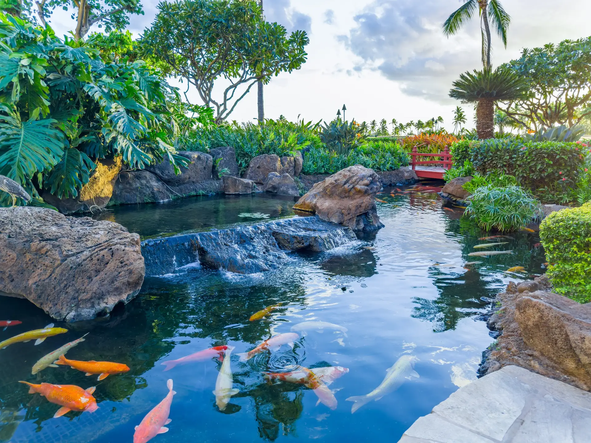 Resort activities